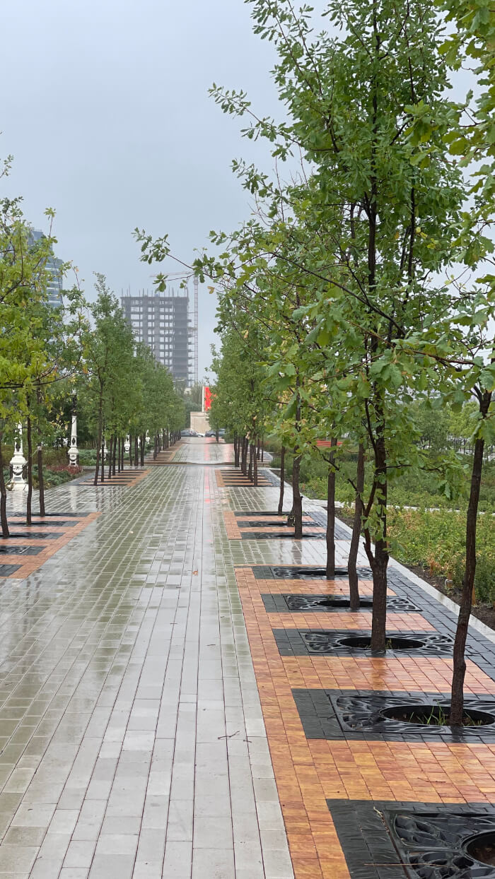 Приствольная решетка для дерева ZKING CRUST 1.2х1.2м Черная в Коврове фото