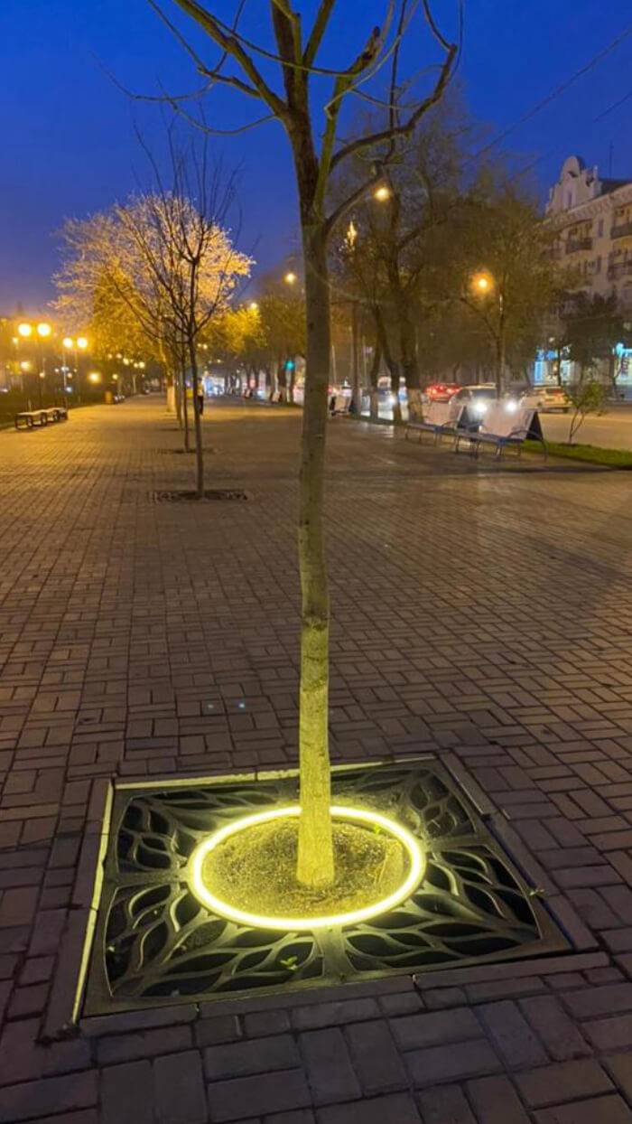 Приствольная решетка для дерева ZKING CRUST 1.2х1.2м Черная в Коврове фото